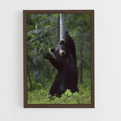 ap-black bear-4 cadre Bois foncé