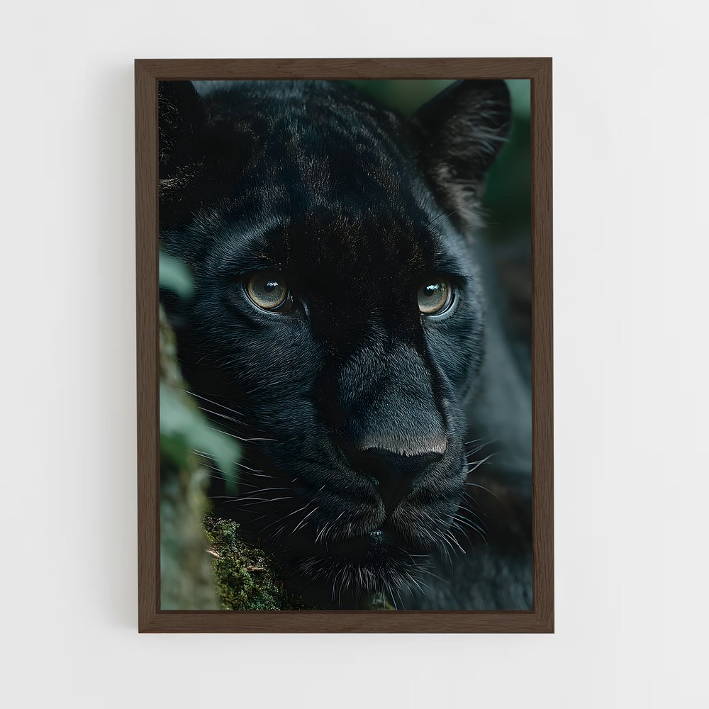 ap-black panther-19 cadre Bois foncé