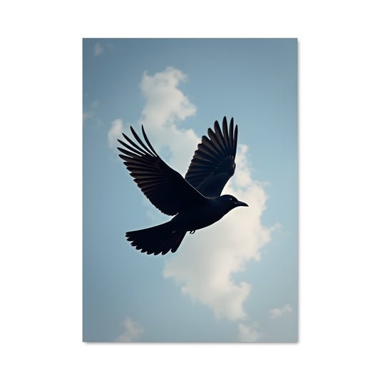 Poster L'Envol du Merle