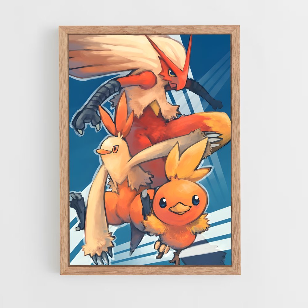 ap-blaziken-2 cadre Bois clair