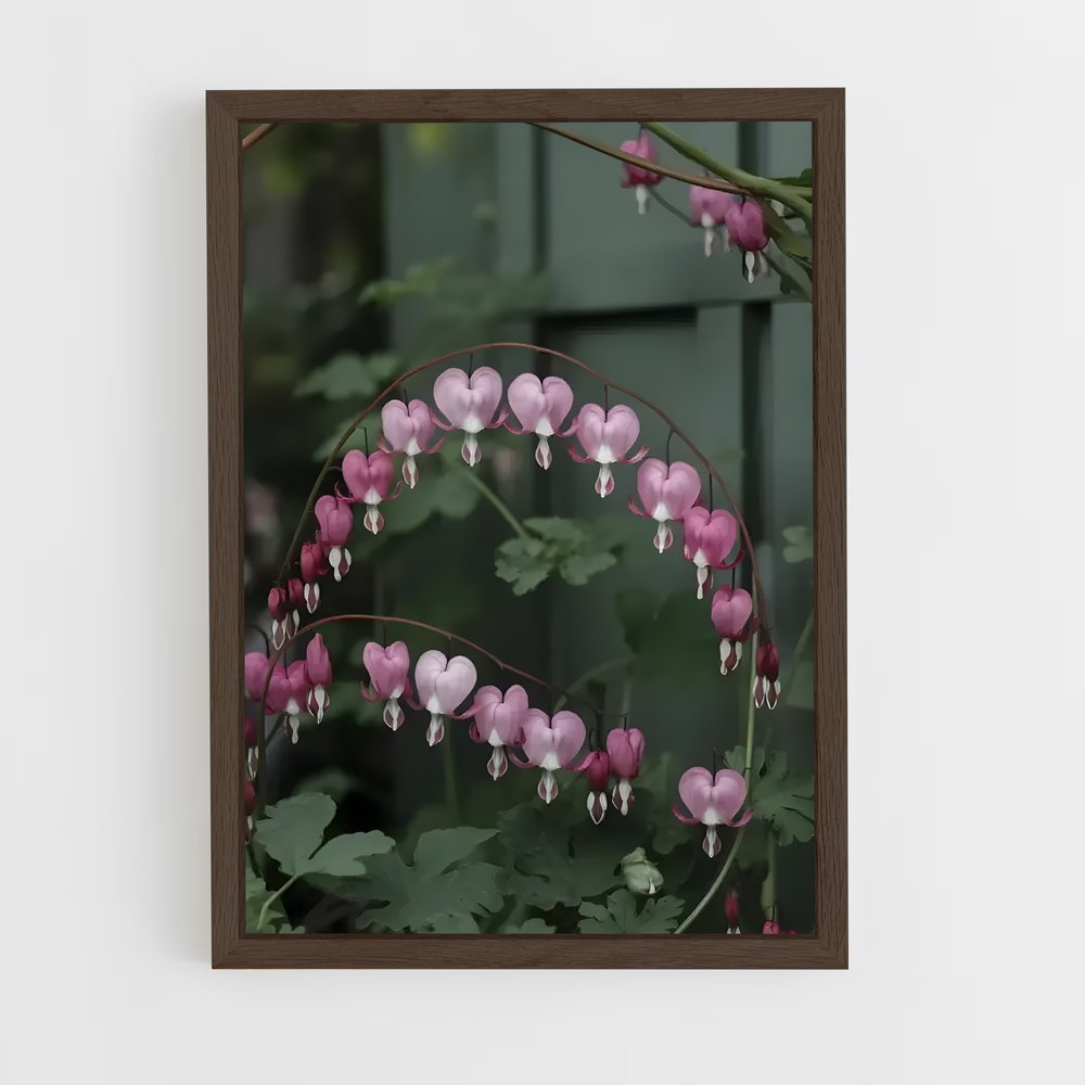 ap-bleeding heart-2 cadre Bois foncé