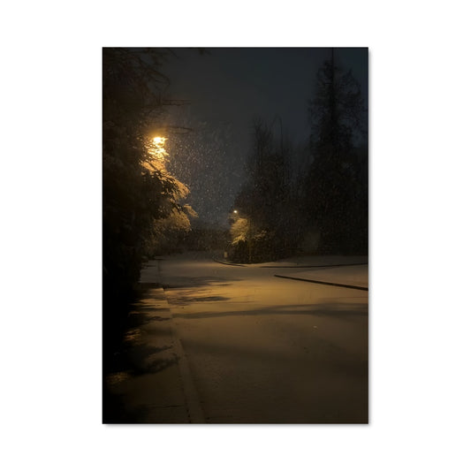 Poster Blizzard 97689