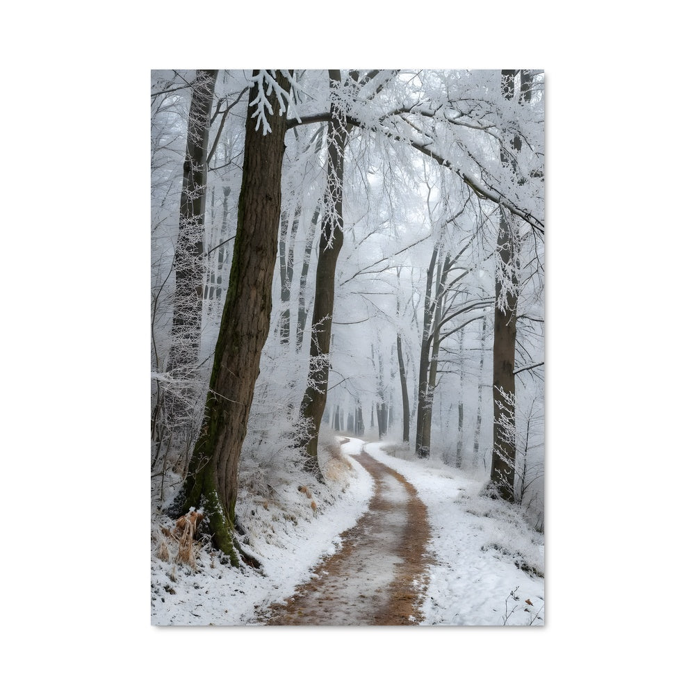 Poster Blizzard 97691