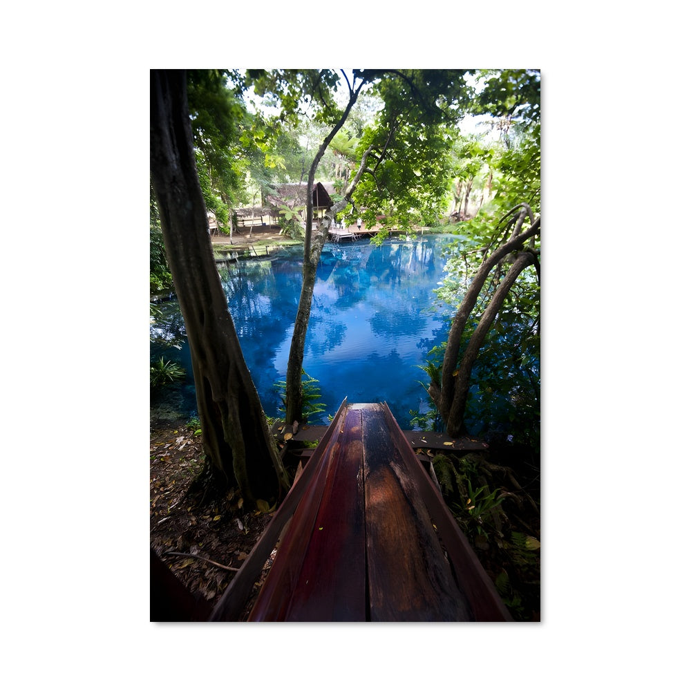 Poster Aventure Tropicale