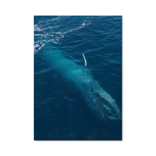 Poster Écho des Profondeurs