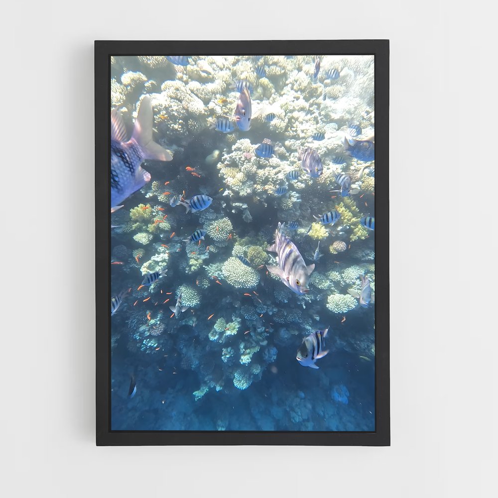 ap-blue hole dahab egypt-2 cadre Noir