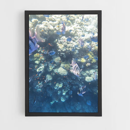 ap-blue hole dahab egypt-2 cadre Noir