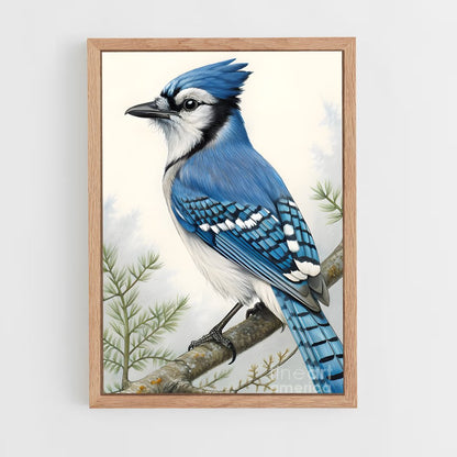 ap-blue jay-2 cadre Bois clair