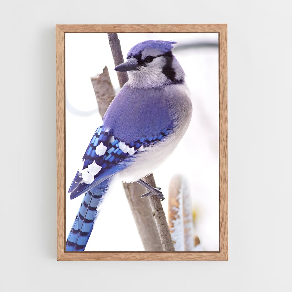 ap-blue jay-4 cadre Bois clair