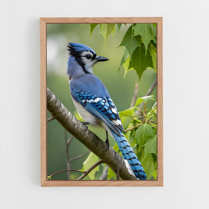 ap-blue jay-6 cadre Bois clair