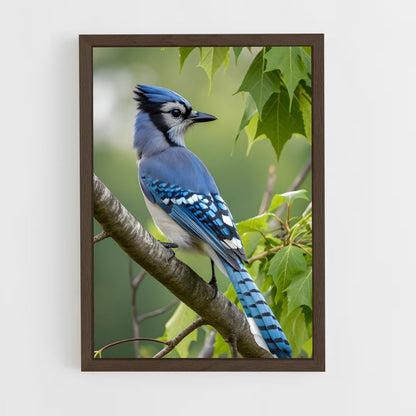 ap-blue jay-6 cadre Bois foncé