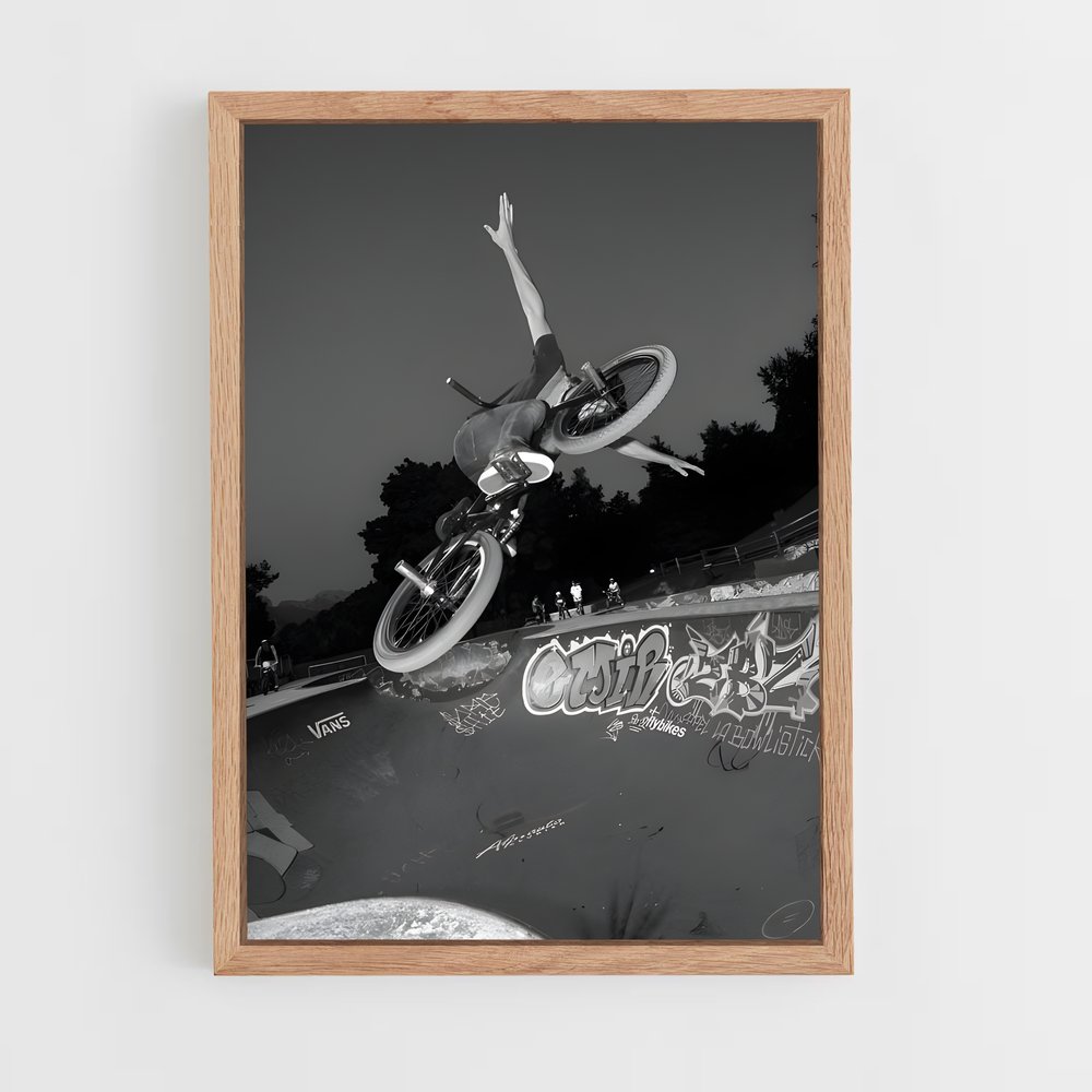 ap-bmx-3 cadre Bois clair