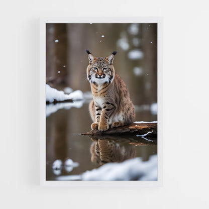 ap-bobcat-5 cadre Blanc