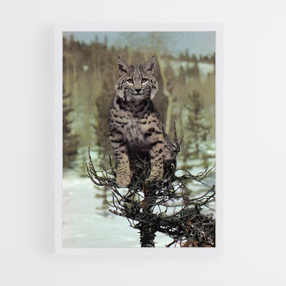ap-bobcat-9 cadre Blanc