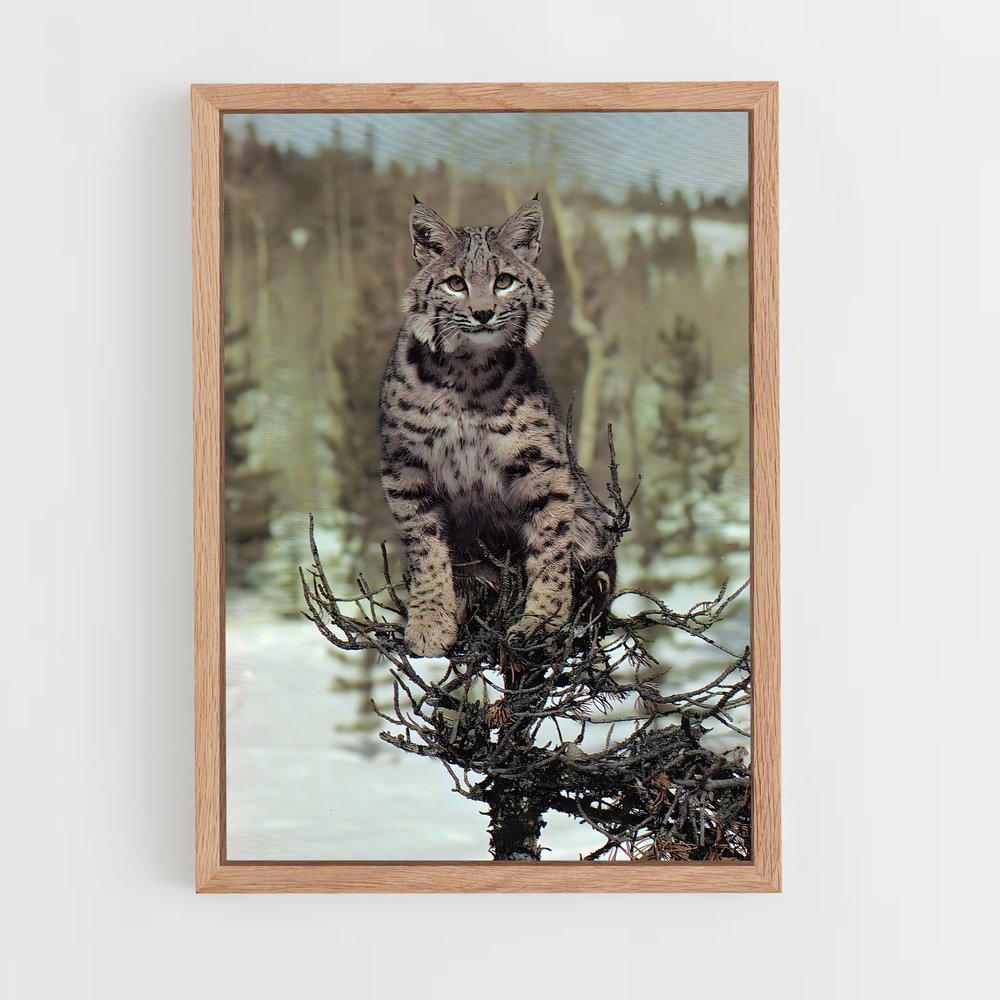 ap-bobcat-9 cadre Bois clair
