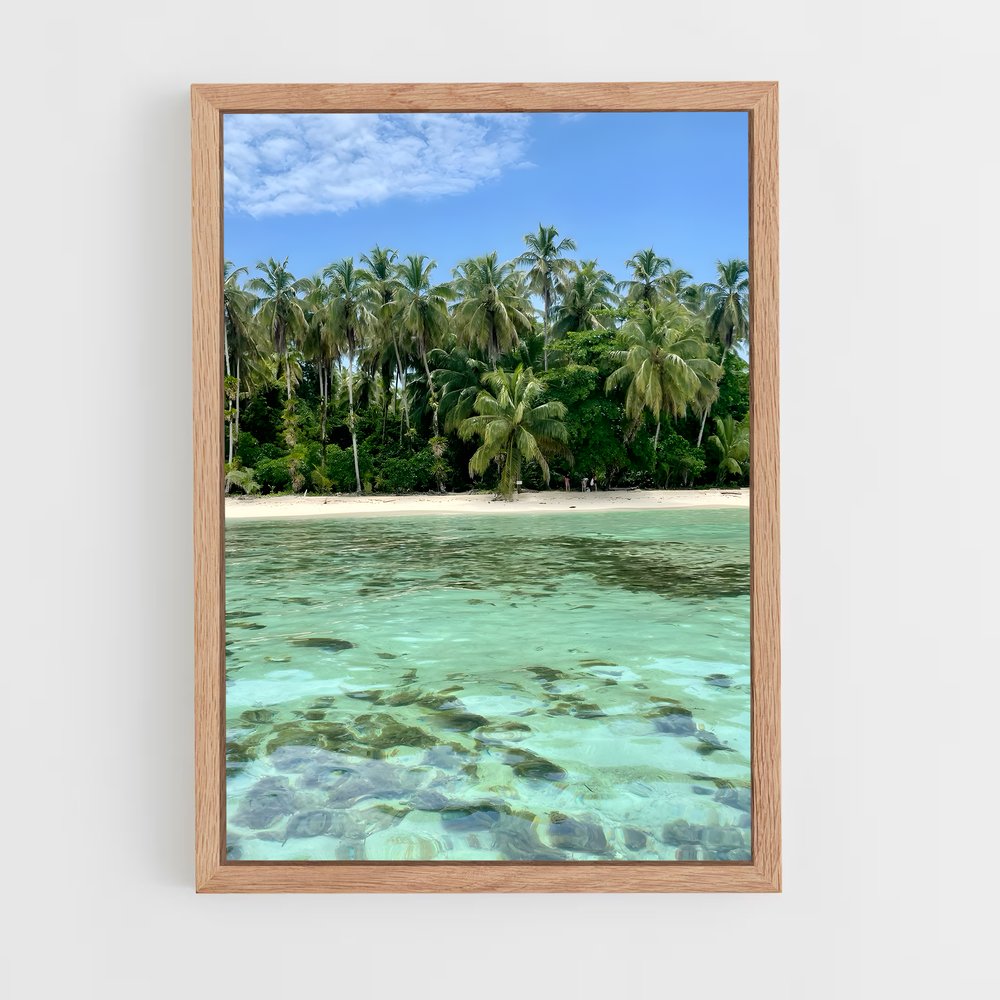 ap-bocas del toro-1 cadre Bois clair