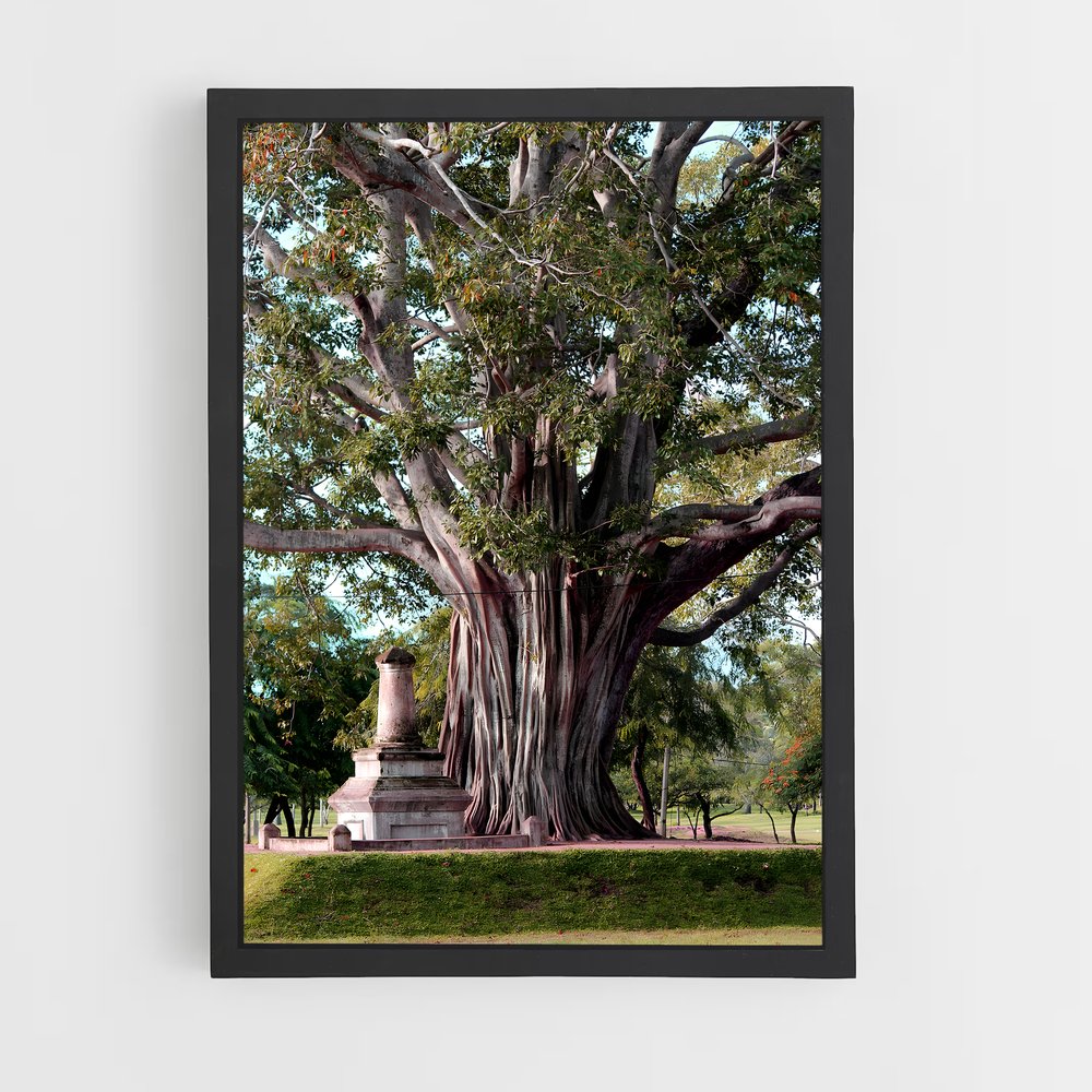 ap-bodhi tree-2 cadre Noir