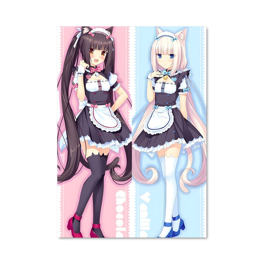 Poster Duel des Ombres