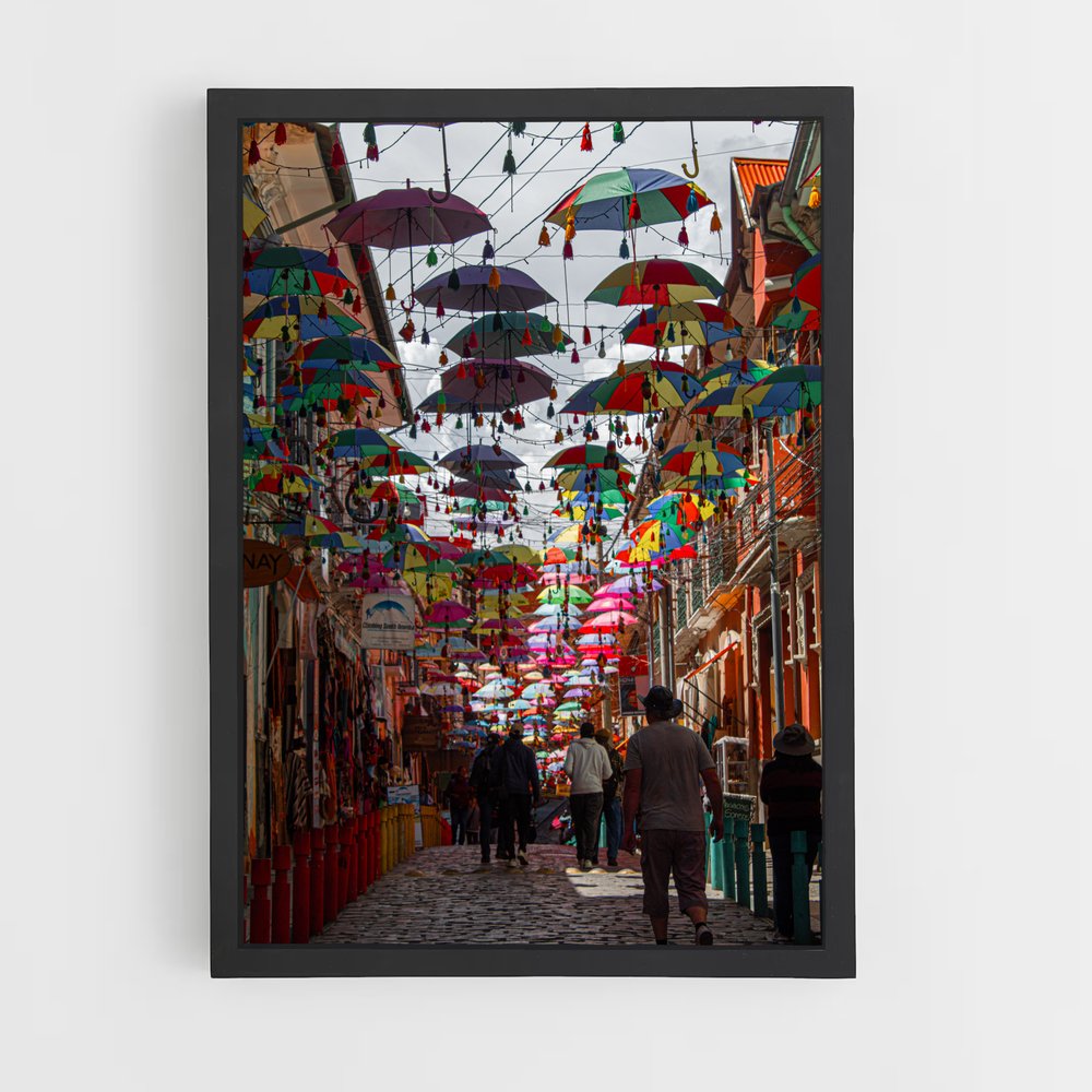 ap-bolivia-6 cadre Noir