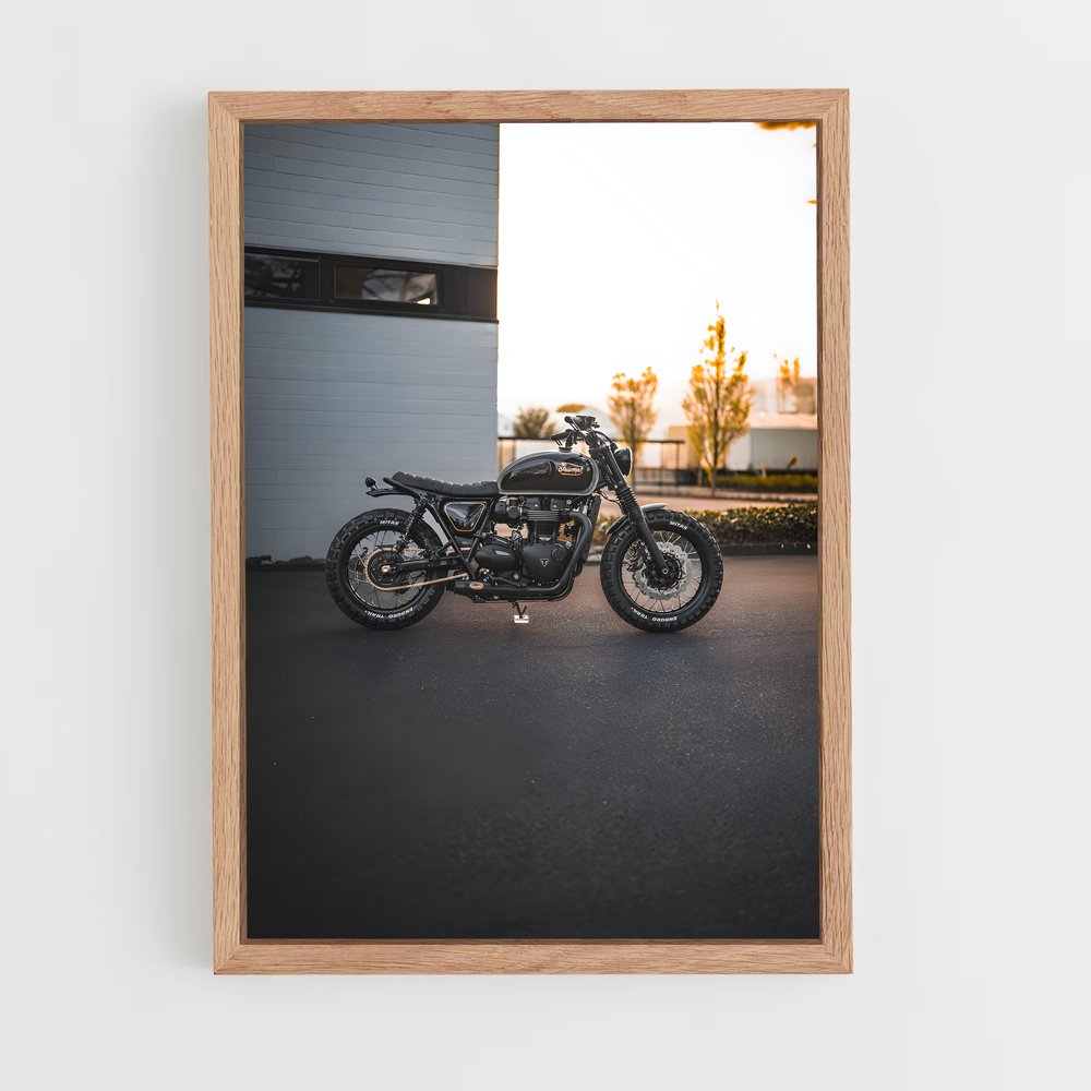 ap-bonneville t120-1 cadre Bois clair
