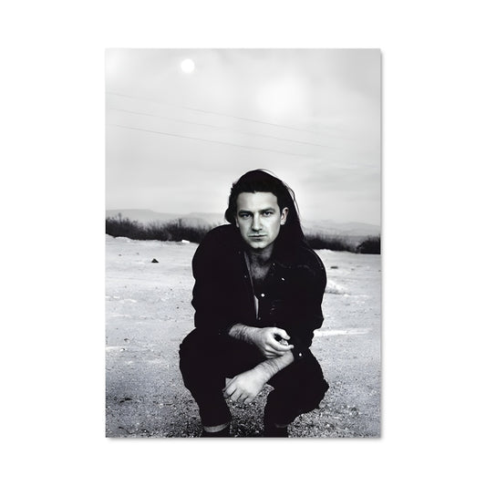 Poster Bono 56902