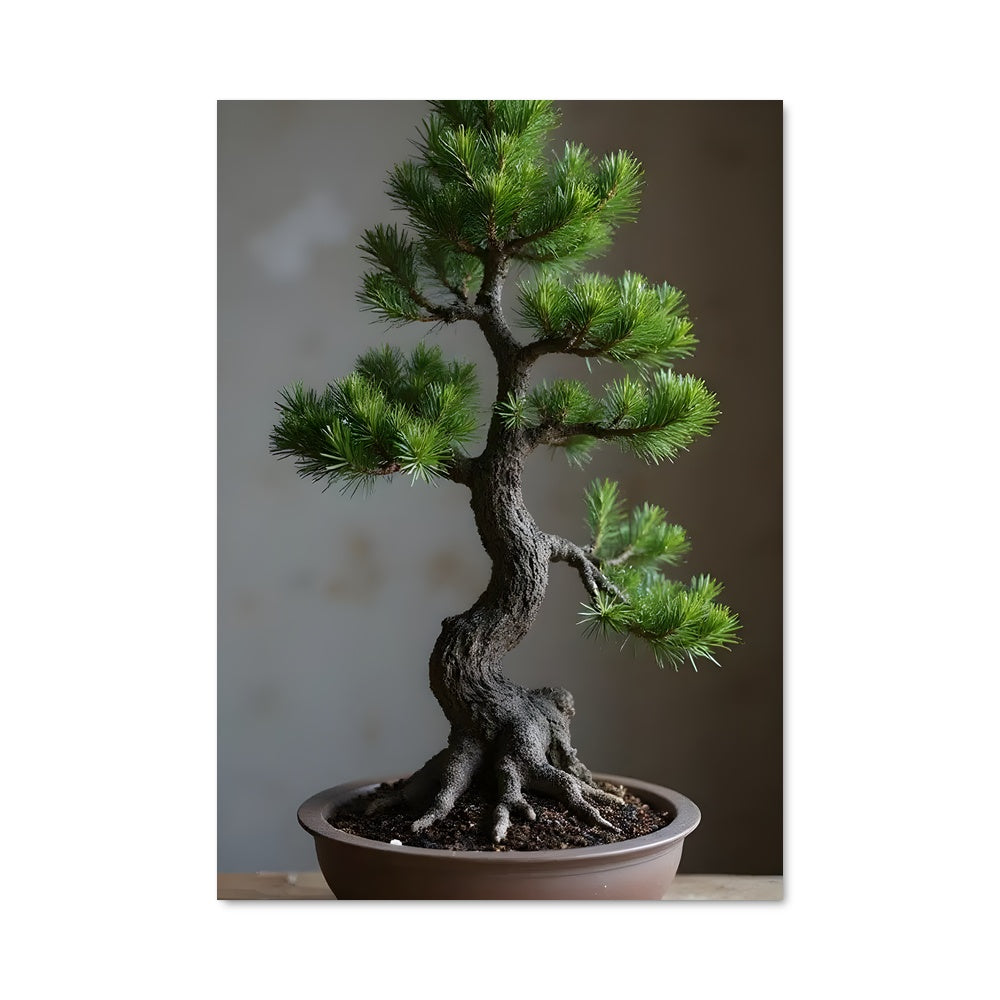 Poster Zen Bonsai