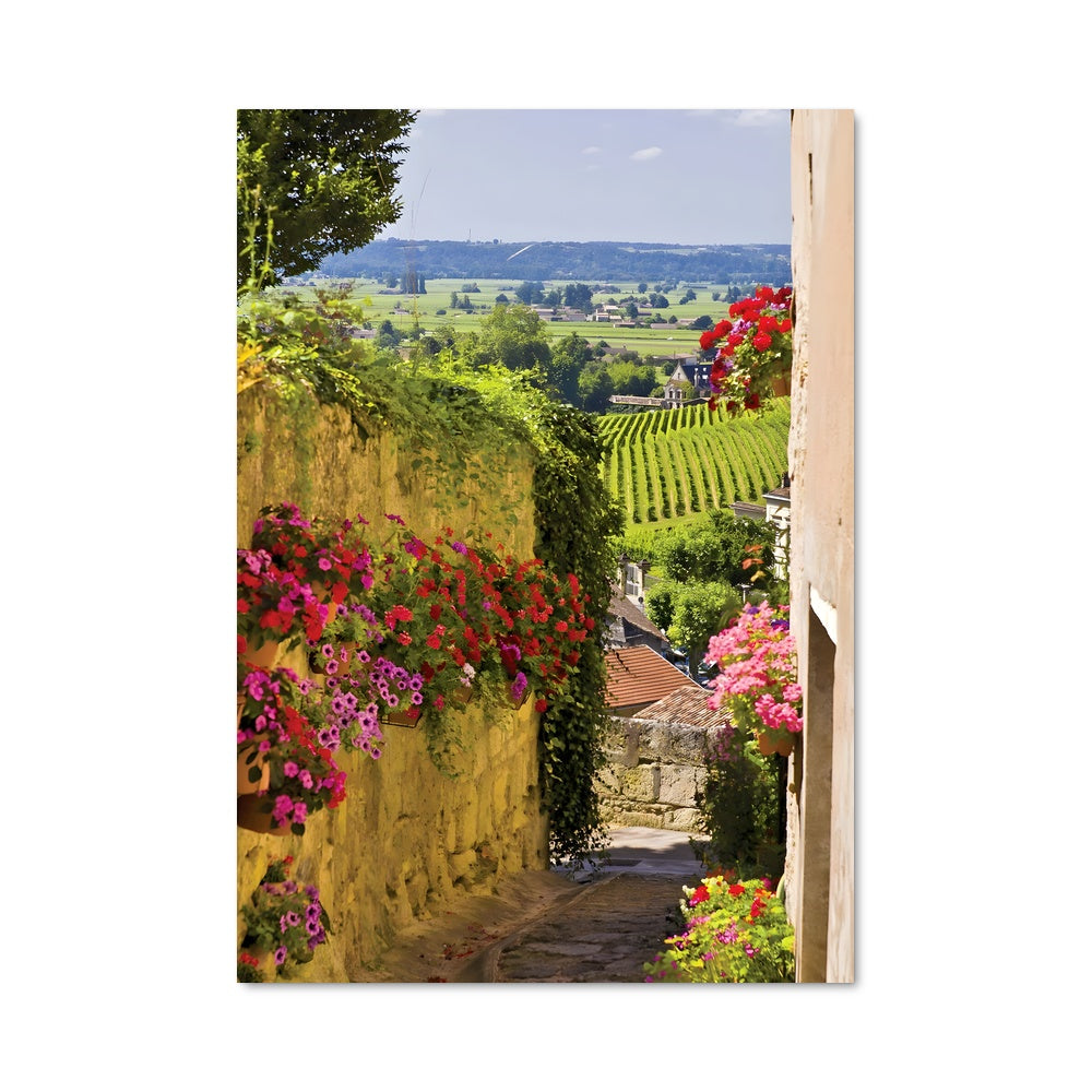 Poster Rue Fleurie des Vignobles