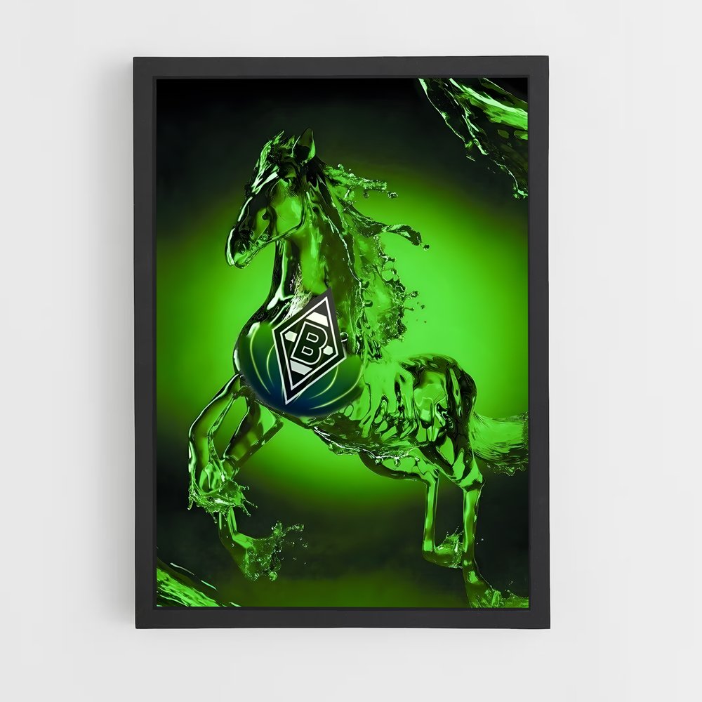 ap-borussia monchengladbach-6 cadre Noir