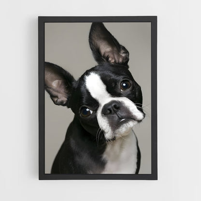 ap-boston terrier-1 cadre Noir