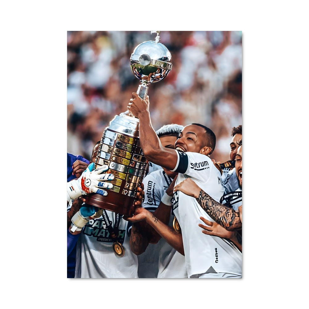 Poster Botafogo de futebol e regatas 69680