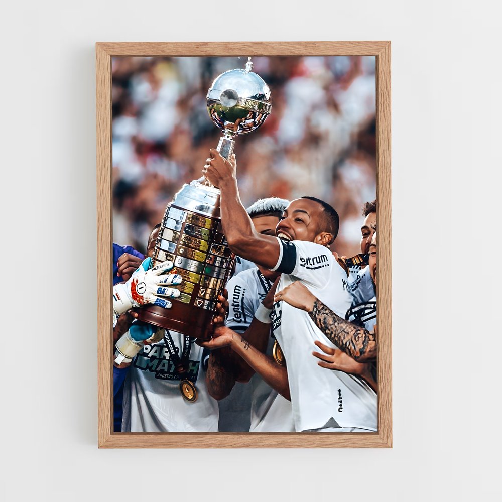 ap-botafogo de futebol e regatas-7 cadre Bois clair