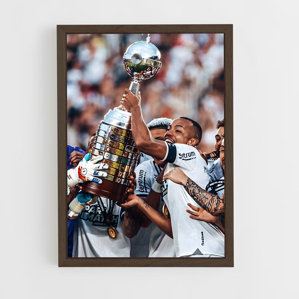 ap-botafogo de futebol e regatas-7 cadre Bois foncé