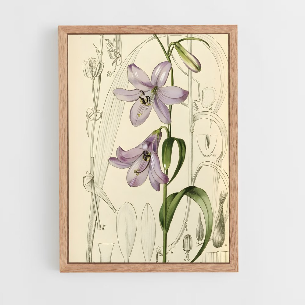 ap-botanical-9 cadre Bois clair