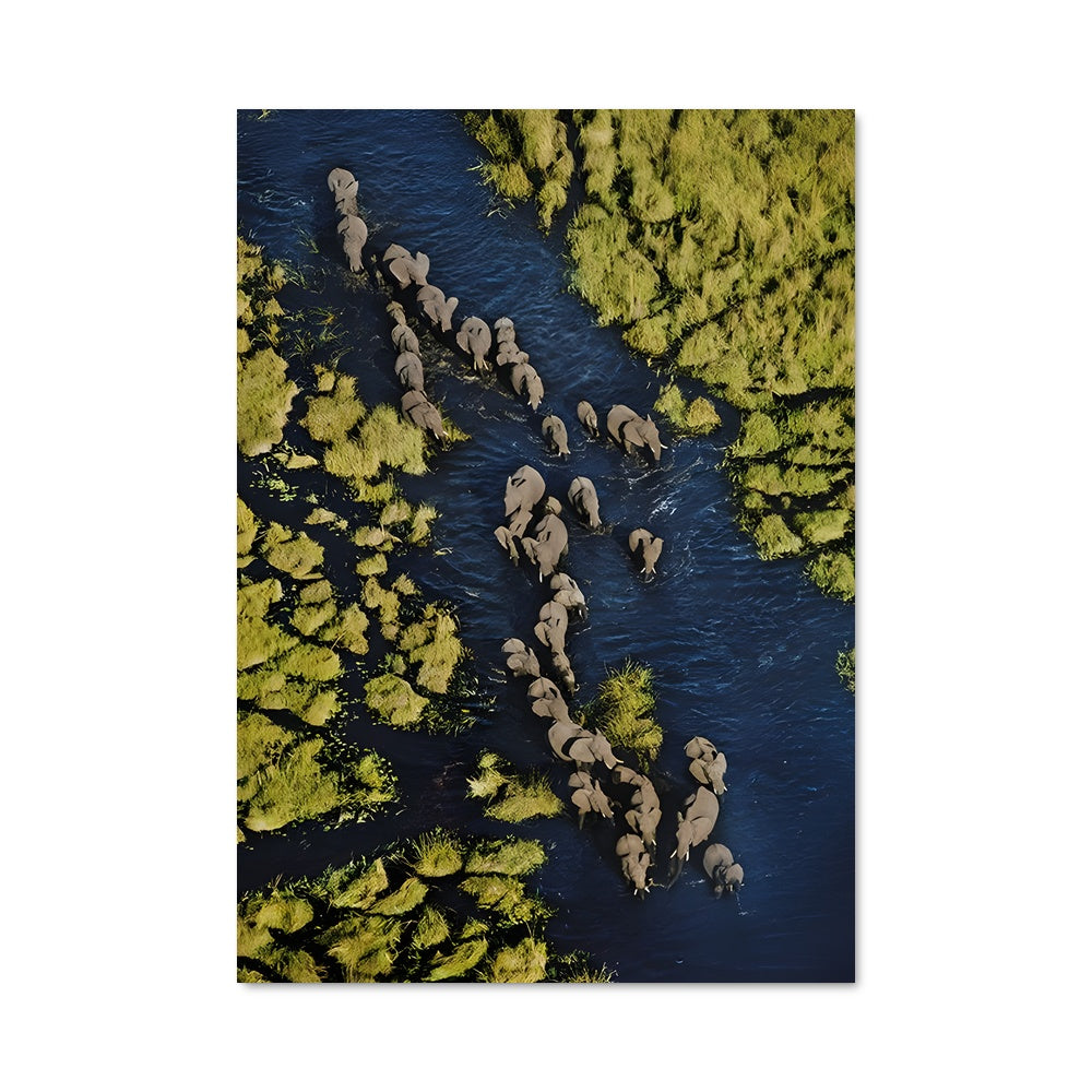 Poster Traversée des Élégants