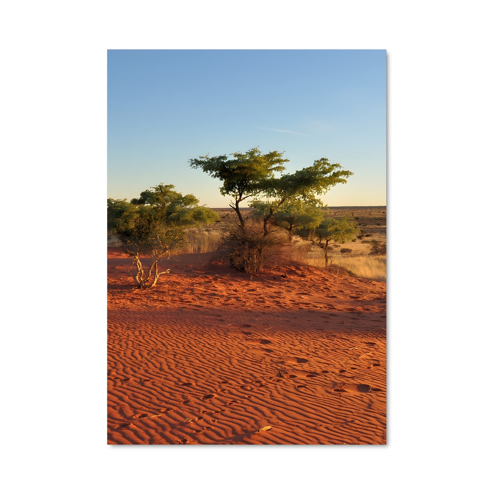 Poster L'Arbre Solitaire