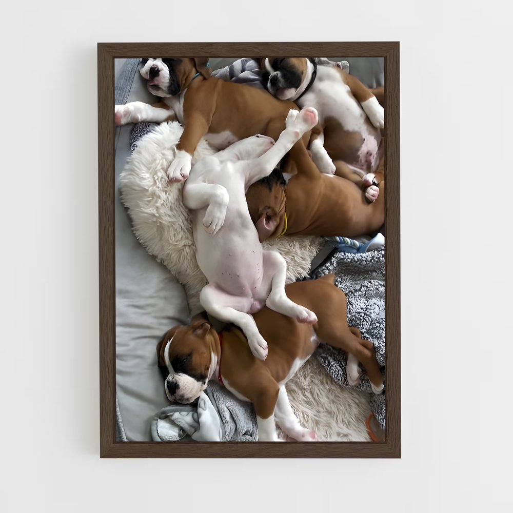 ap-boxer-5 cadre Bois foncé