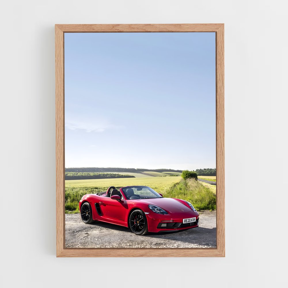 ap-boxster gts-1 cadre Bois clair