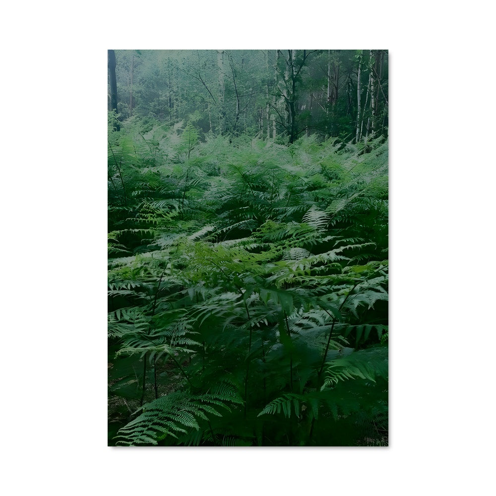 Poster Bracken fern 96406