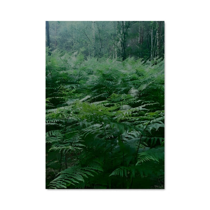 Poster Bracken fern 96406