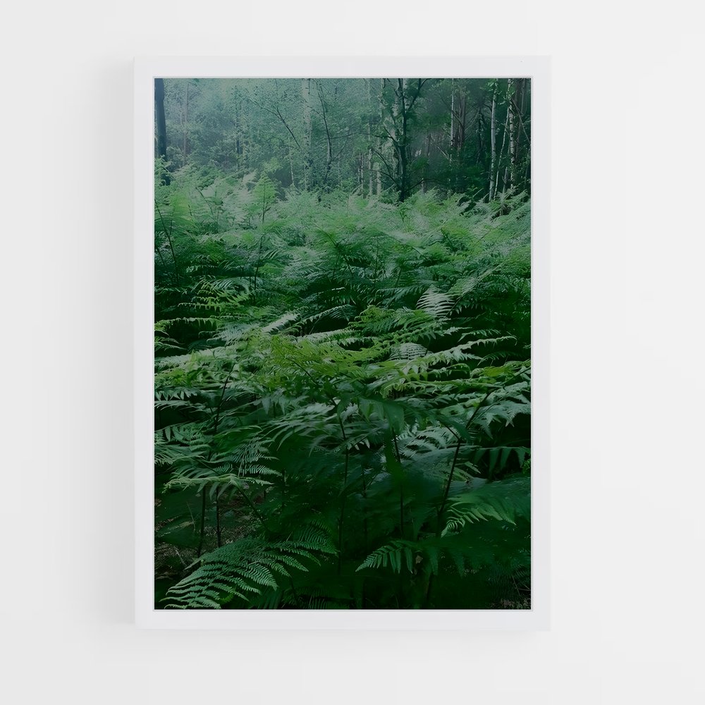 ap-bracken fern-2 cadre Blanc