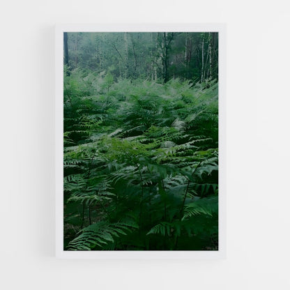 ap-bracken fern-2 cadre Blanc