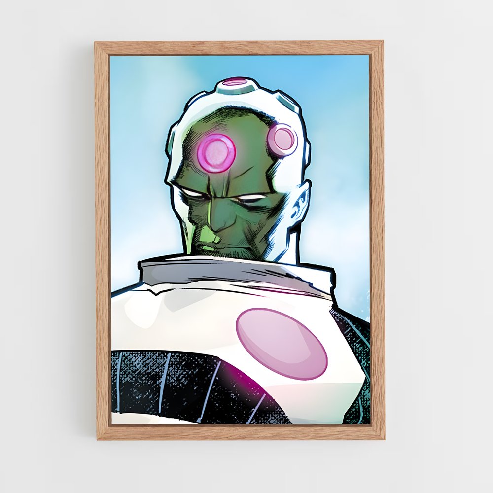 ap-brainiac-6 cadre Bois clair