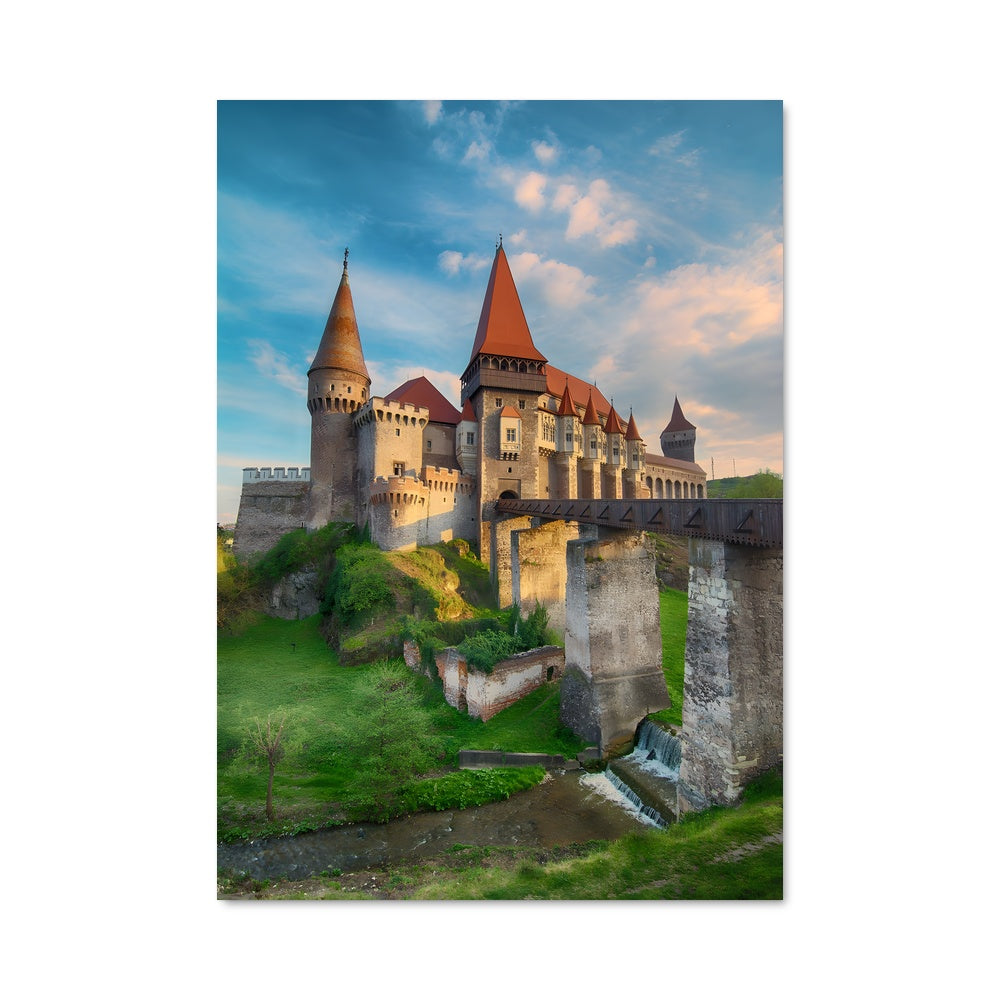 Poster Le Château des Ombres