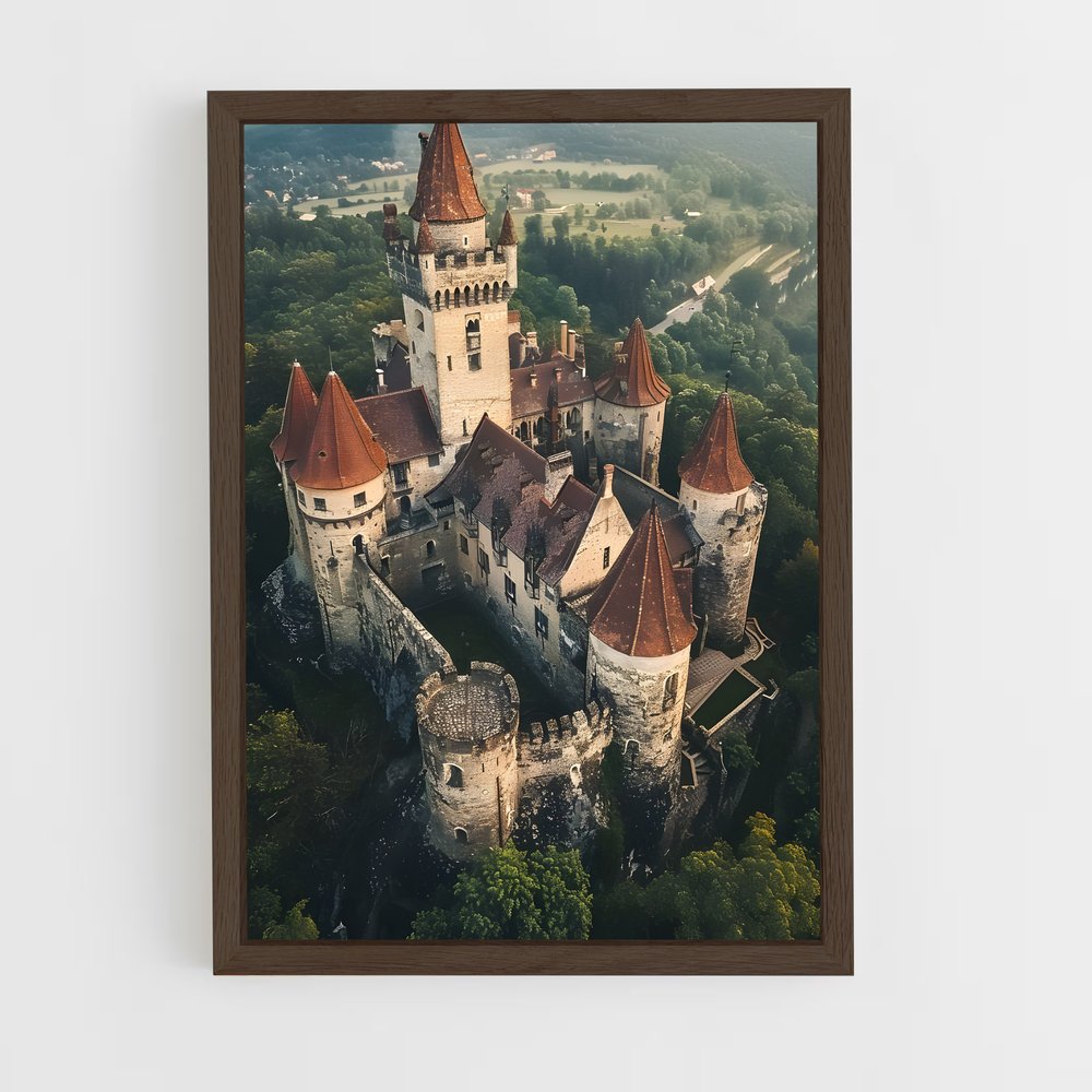 ap-bran castle-2 cadre Bois foncé