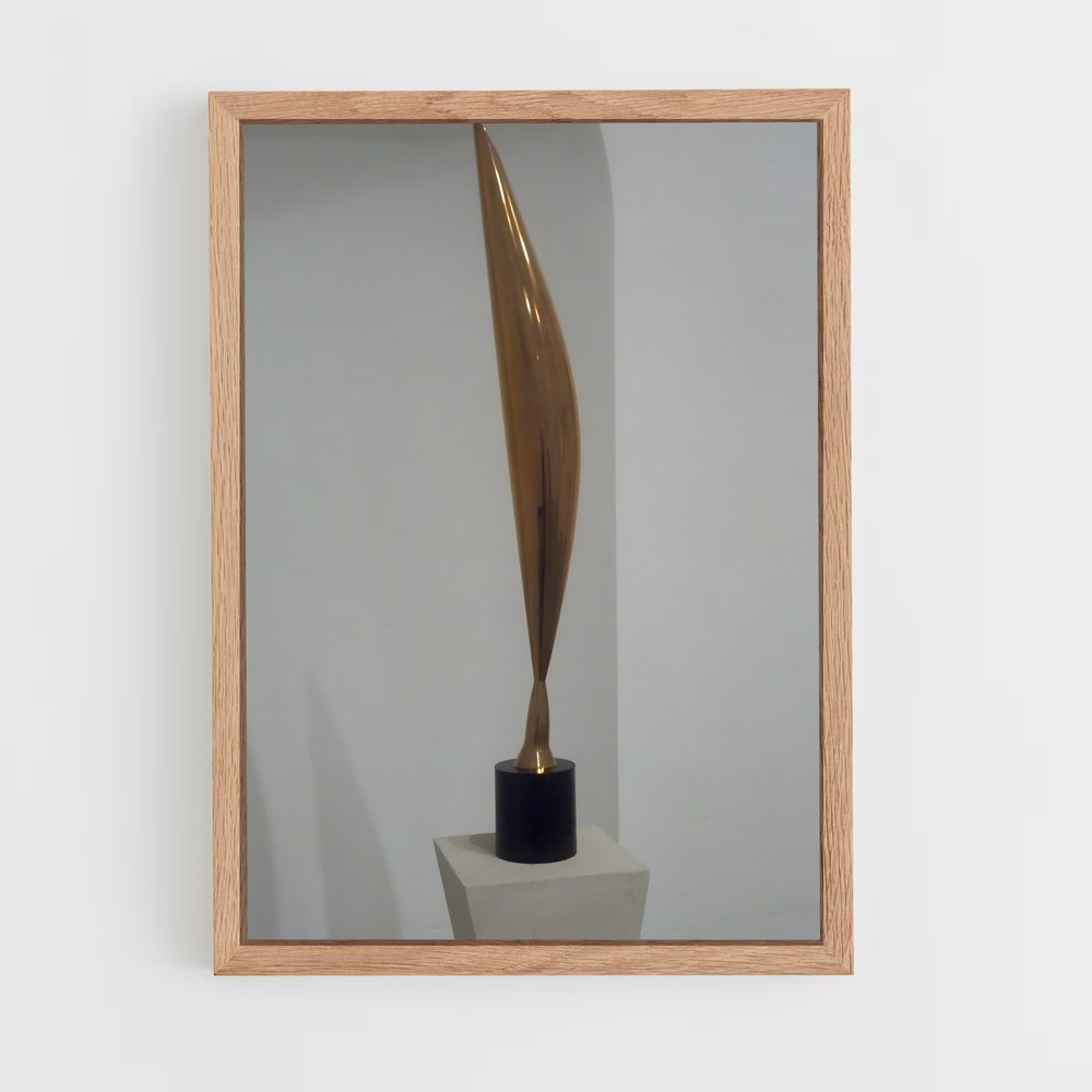 ap-brancusi bird in space-6 cadre Bois clair
