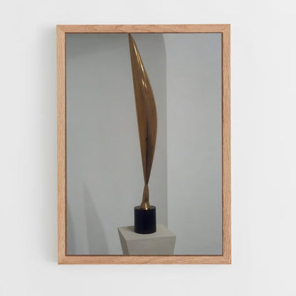 ap-brancusi bird in space-6 cadre Bois clair