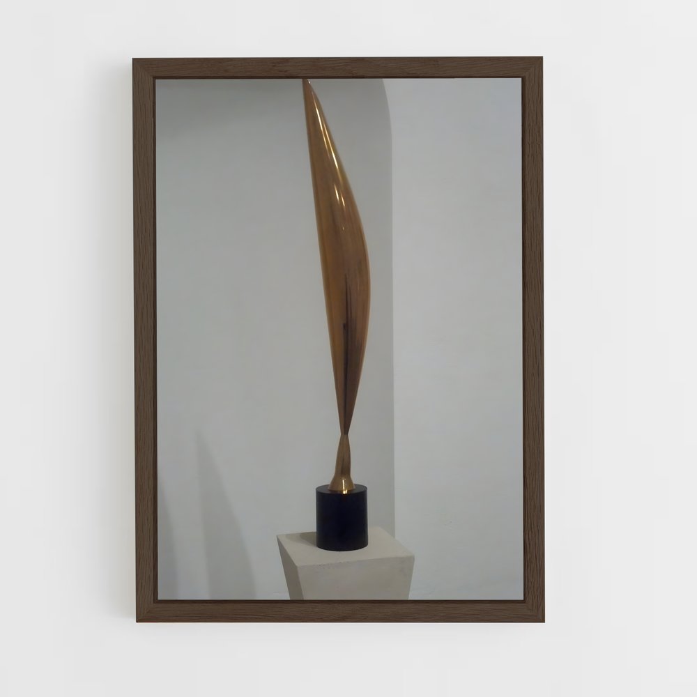 ap-brancusi bird in space-6 cadre Bois foncé