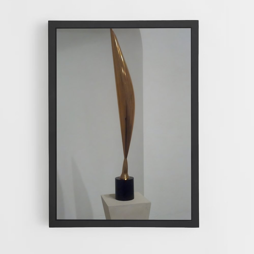ap-brancusi bird in space-6 cadre Noir