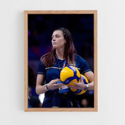 ap-brazil national volleyball team-5 cadre Bois clair