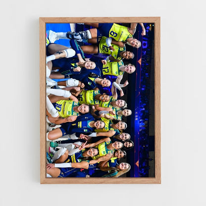 ap-brazil national volleyball team-6 cadre Bois clair